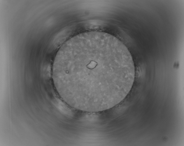 X0000113950820200910232004