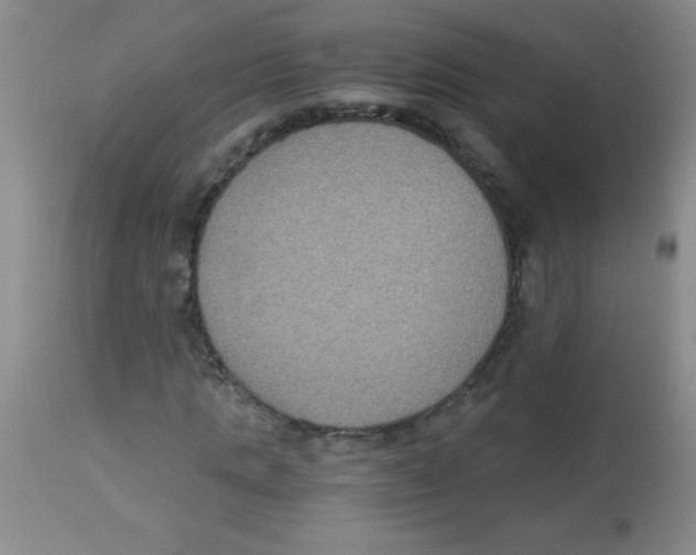 X0000113950821200910232004
