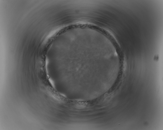 X0000113950823200910232004