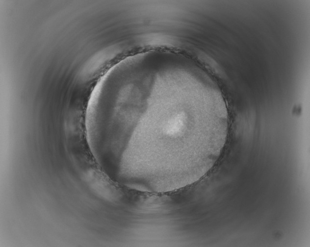 X0000113950824200910232004