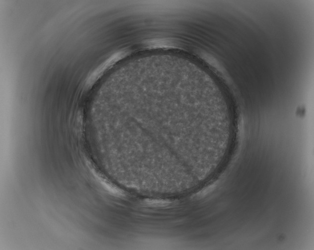 X0000113950825200910232004