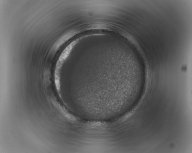 X0000113950826200910232004