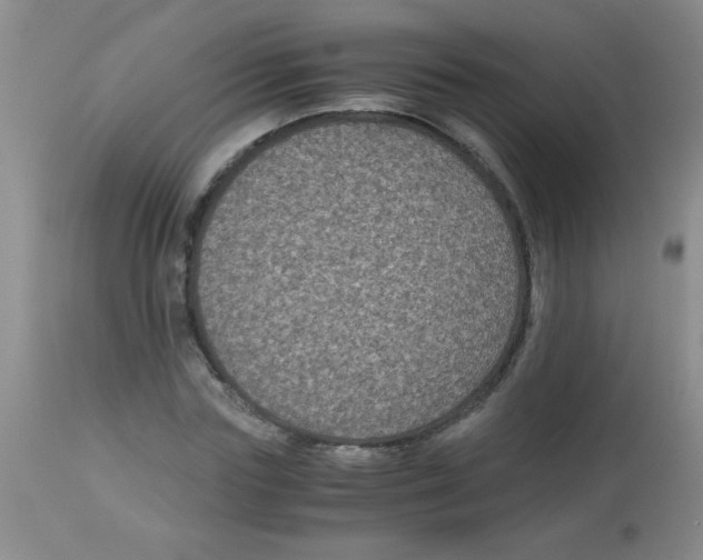 X0000113950827200910232004