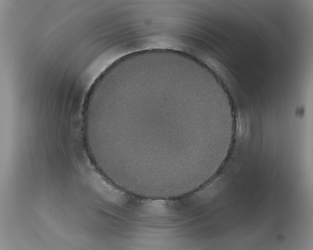 X0000113950828200910232004