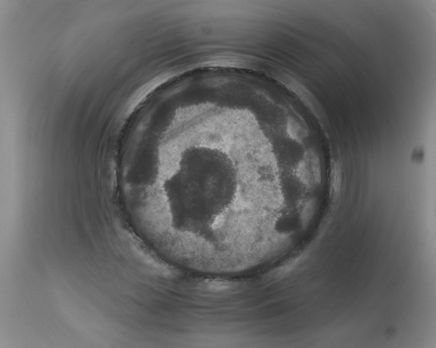 X0000113950829200910232004