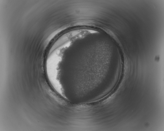 X0000113950830200910232004