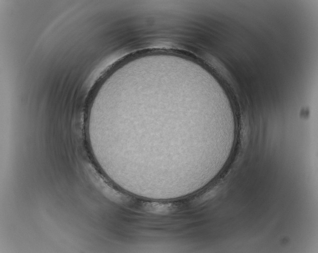 X0000113950831200910232004