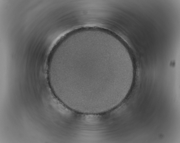 X0000113950832200910232004