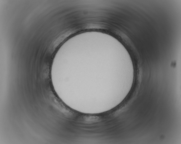 X0000113950833200910232004