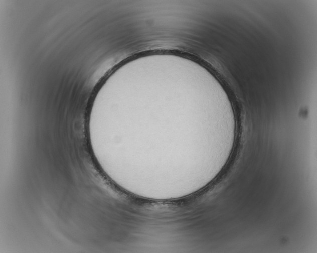 X0000113950834200910232004