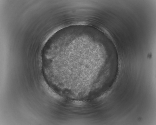 X0000113950835200910232004