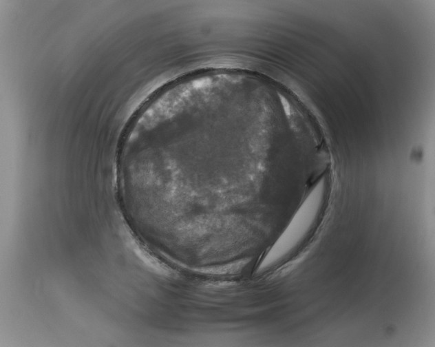 X0000113950837200910232004