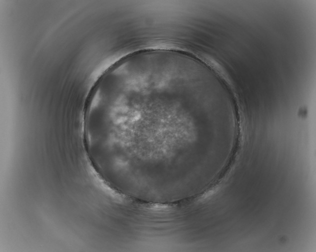 X0000113950839200910232004