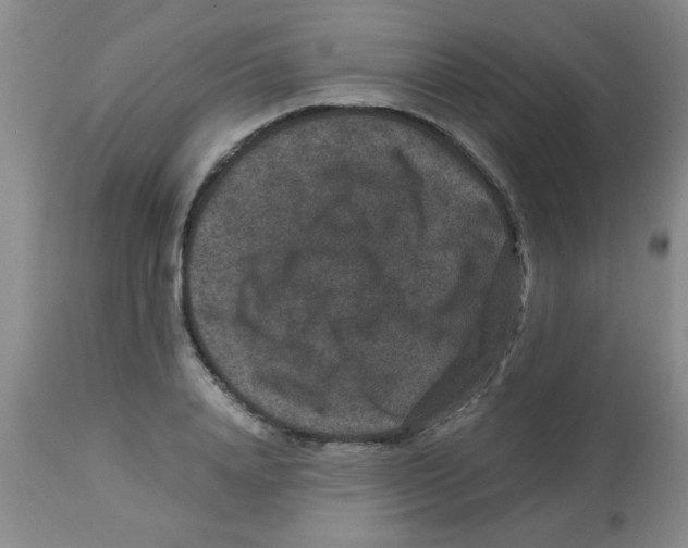 X0000113950840200910232005