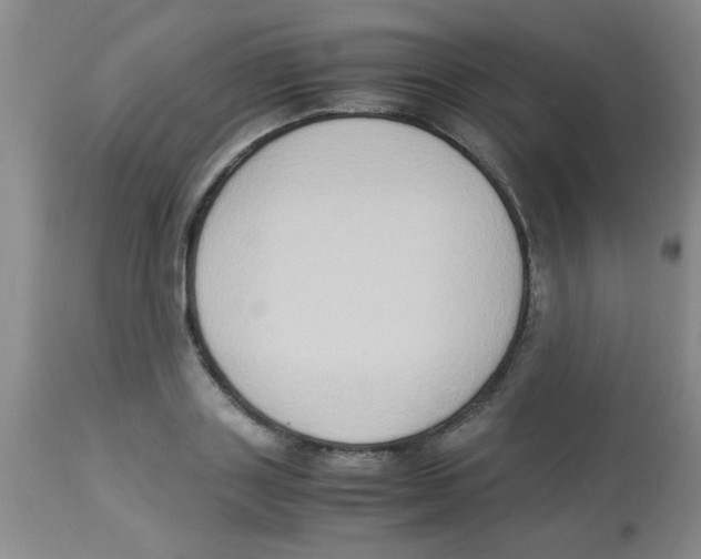 X0000113950843200910232005