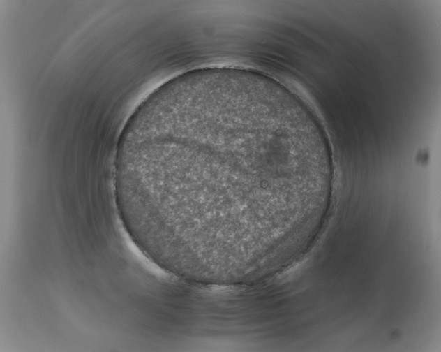 X0000113950847200910232005