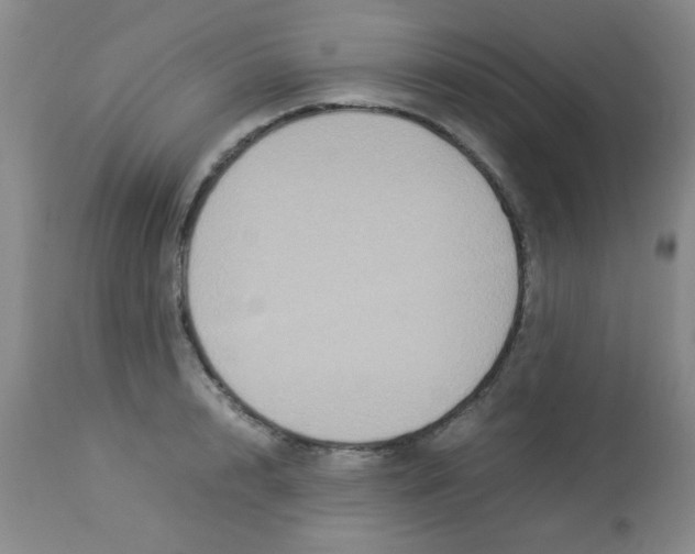 X0000113950848200910232005
