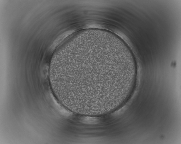 X0000113950849200910232005