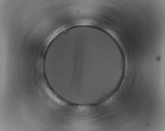 X0000113950850200910232005