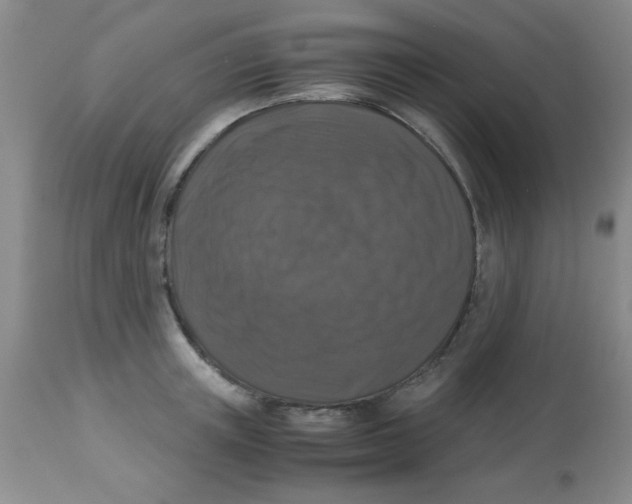 X0000113950851200910232005