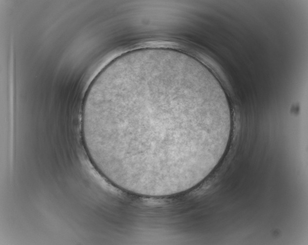 X0000113950852200910232005