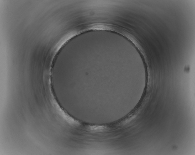 X0000113950853200910232005