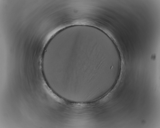 X0000113950854200910232005
