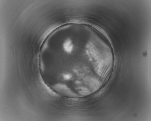 X0000113950855200910232005