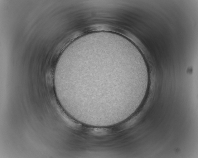 X0000113950857200910232005