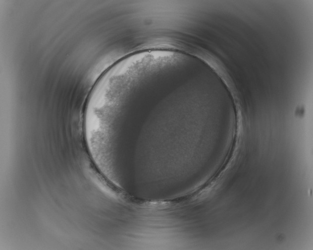 X0000113950858200910232005