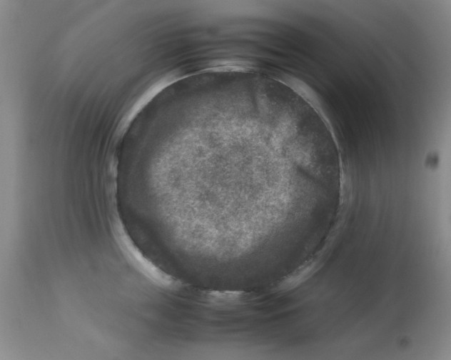 X0000113950859200910232005