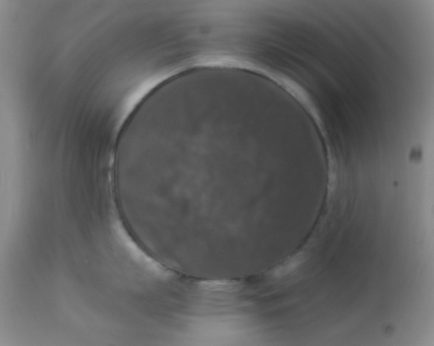 X0000113950863200910232005