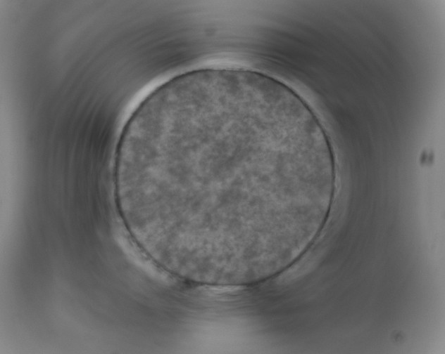 X0000113950864200910232005