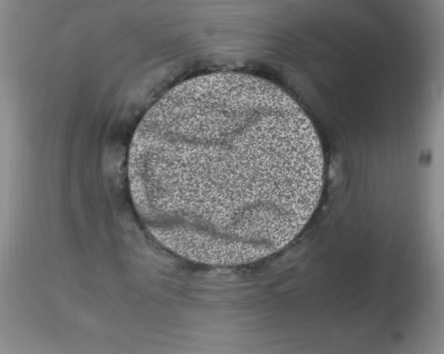 X0000113950867200910232004
