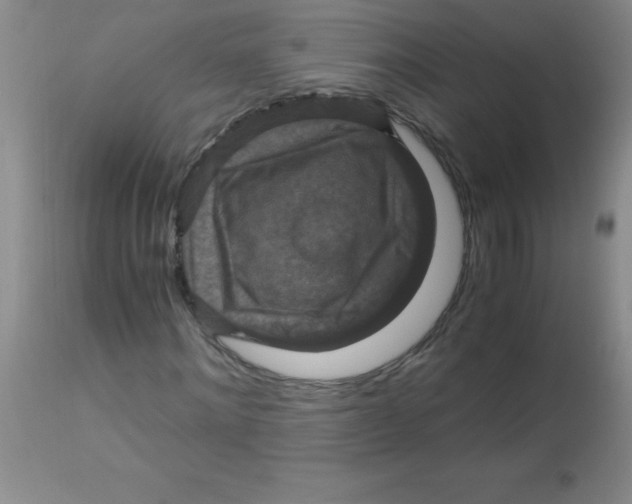 X0000113950868200910232004