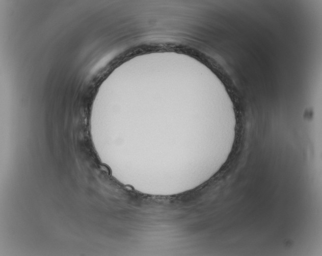 X0000113950871200910232004