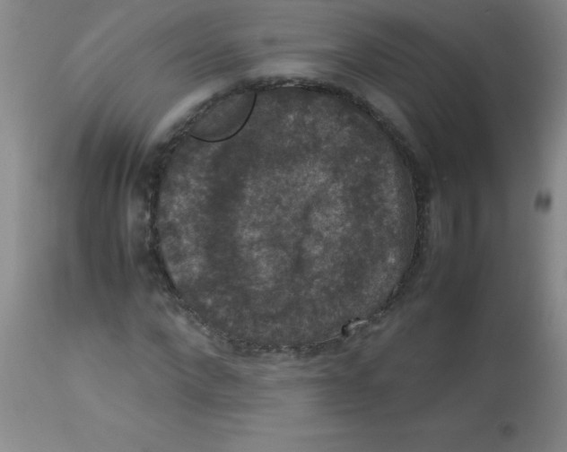 X0000113950872200910232004