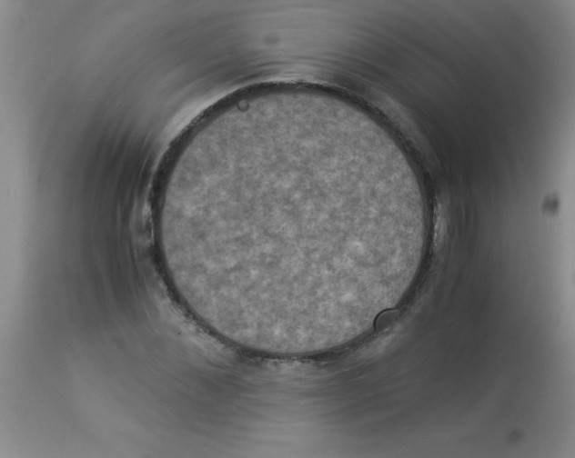 X0000113950876200910232004