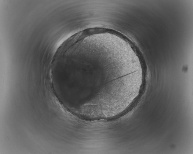 X0000113950877200910232004