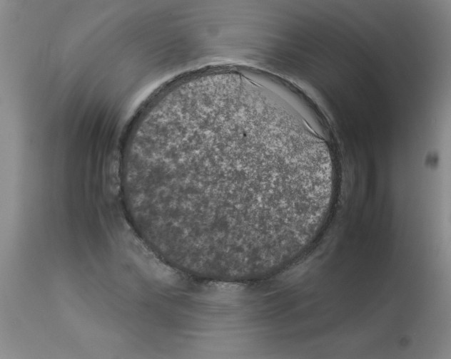X0000113950878200910232004