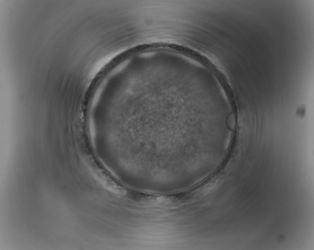 X0000113950879200910232004