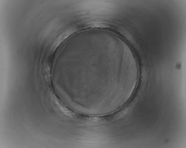 X0000113950881200910232004