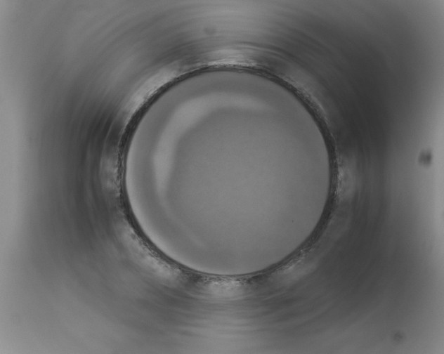X0000113950882200910232004