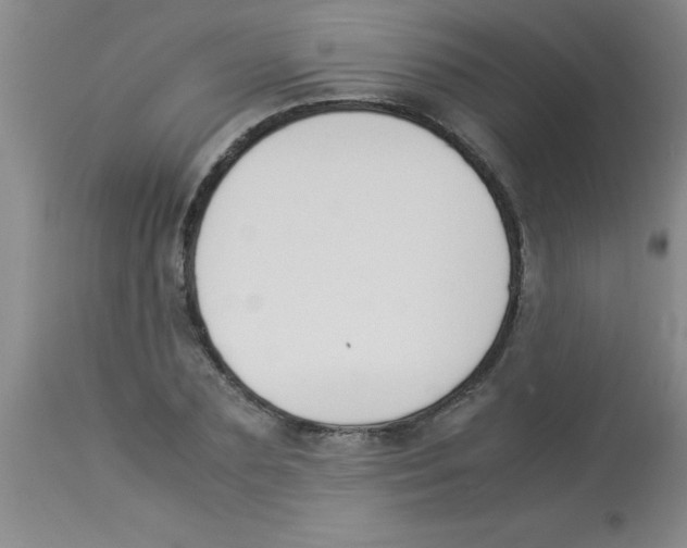 X0000113950883200910232004