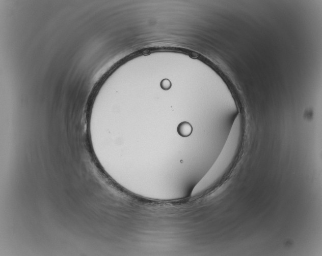 X0000113950885200910232004