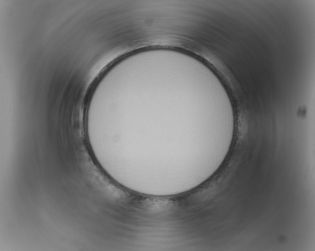 X0000113950886200910232004
