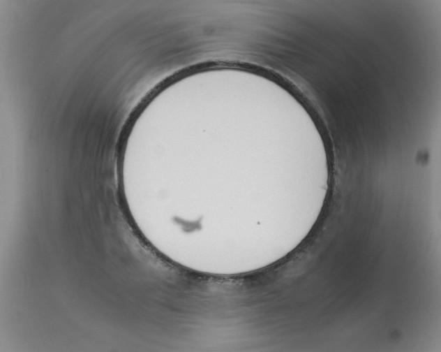 X0000113950887200910232004