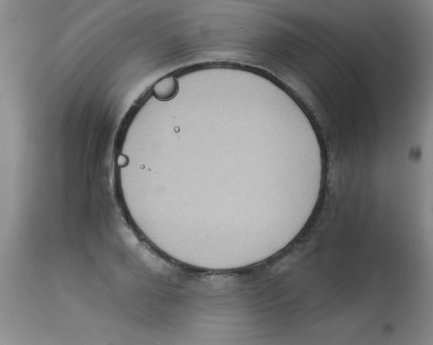 X0000113950888200910232004
