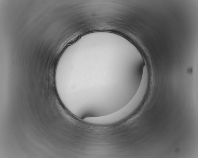 X0000113950889200910232004