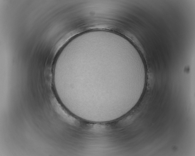 X0000113950890200910232004